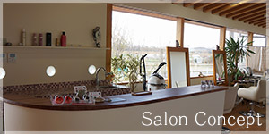 Salon Concept